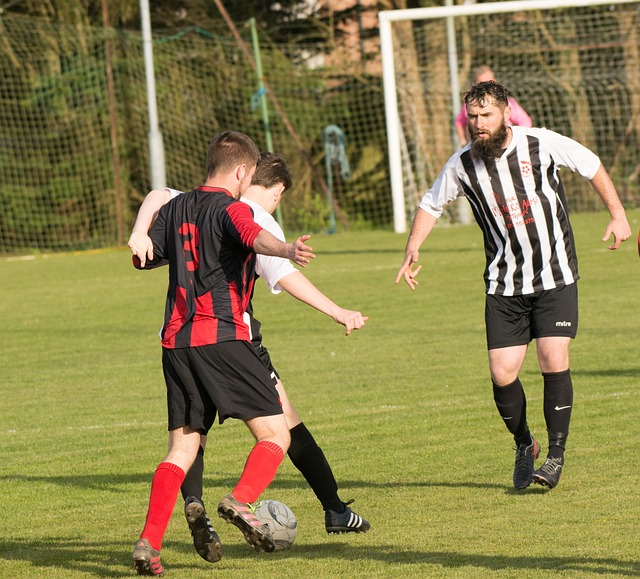 经典案例 经典案例